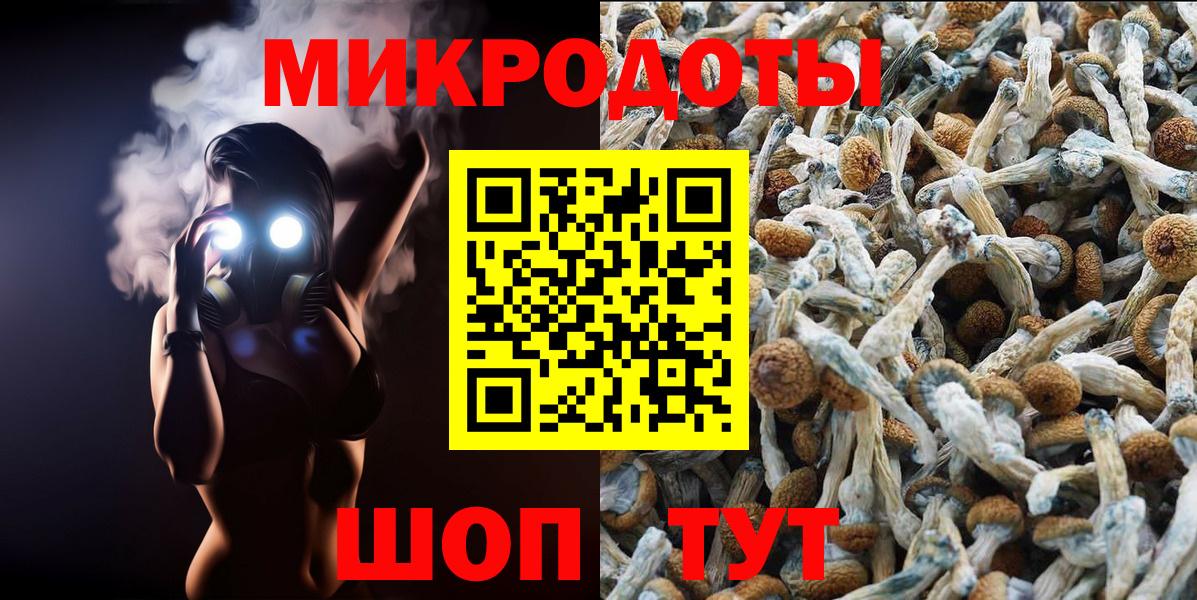 Мыски  Псилоцибиновые грибы GOLDEN TEACHER  Вход с VPN  Псилоцибиновые грибы мицелий 
